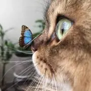 ユウリんの画像