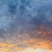ななの画像