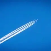 てくてくの画像