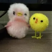 ぽり コレクション整理中の画像