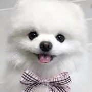 ♡