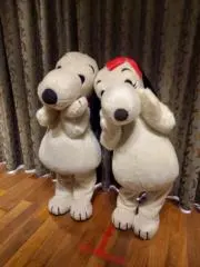モカの画像