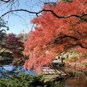 Yukin☆(プロフ確認)の画像