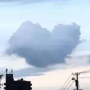 たけのこの画像