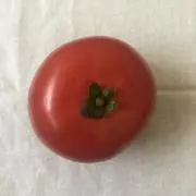 とまとの画像