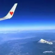 名米乎の画像