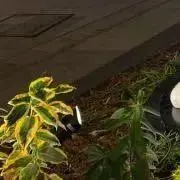 あさの画像