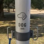 ぷっちーにの画像