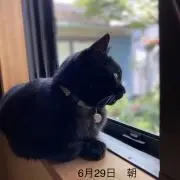 Greensky ミニマリスト候補の画像