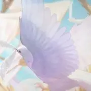Lilyの画像