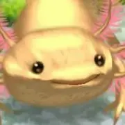 きよみず舞子【プロフ確認ください】の画像