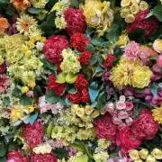 HANA**の画像