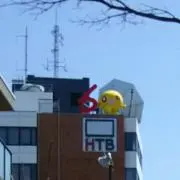 アラサ
