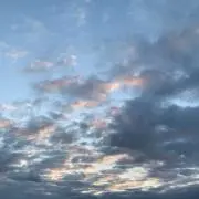ちゃろの画像