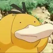 こだっく。