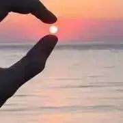 さくたろうの画像
