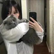 Storyの画像