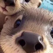 mm プロフ読んで下さいの画像
