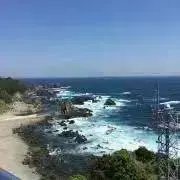 どっこいの画像