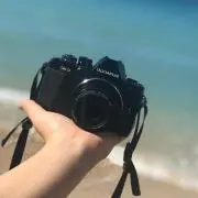 小次郎の画像