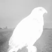 O十の画像