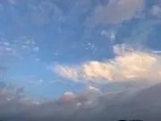 あにゃ