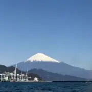 chest（プロフお読みください）の画像