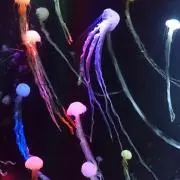ぺー