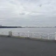 10/1からセール中！みーゆ@即購入OKの画像