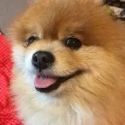 レナママの画像