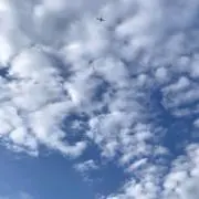 夏空便 ✈️の画像