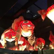 ゆんきちの画像