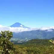 ちぃの画像
