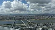 みかんグミの画像