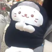 塩こんぶの画像