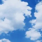Rの画像