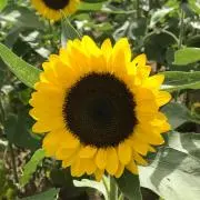 断捨離
