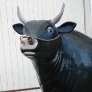 ないんの画像