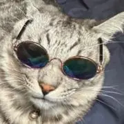 りょー