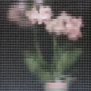 875の画像