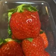 Ryu