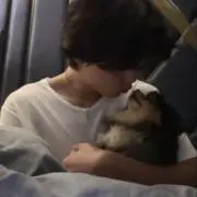 くもの画像