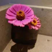 UXの画像
