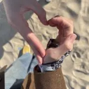 仁科の画像