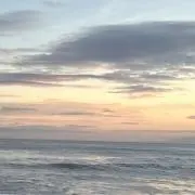 リナの画像