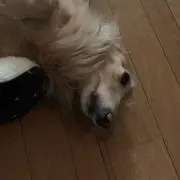 うみと