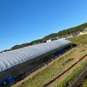 ハヤトの画像