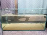 こう  まとめ買い嬉しいですの画像
