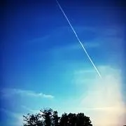 たなぼた