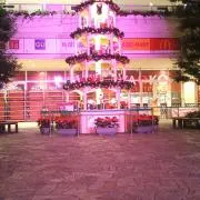 クルト7都市